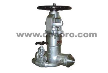 Gate Valve With By-Pass